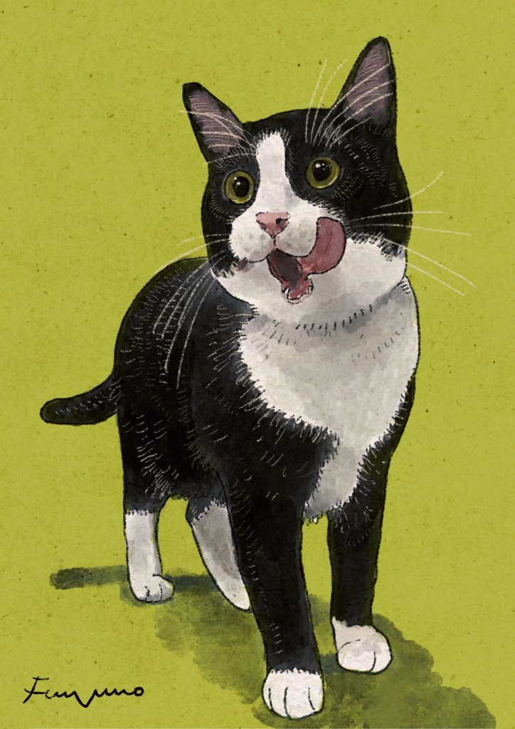 抹茶色の背景に白と黒のハチワレ猫が立っているデジタルイラスト。