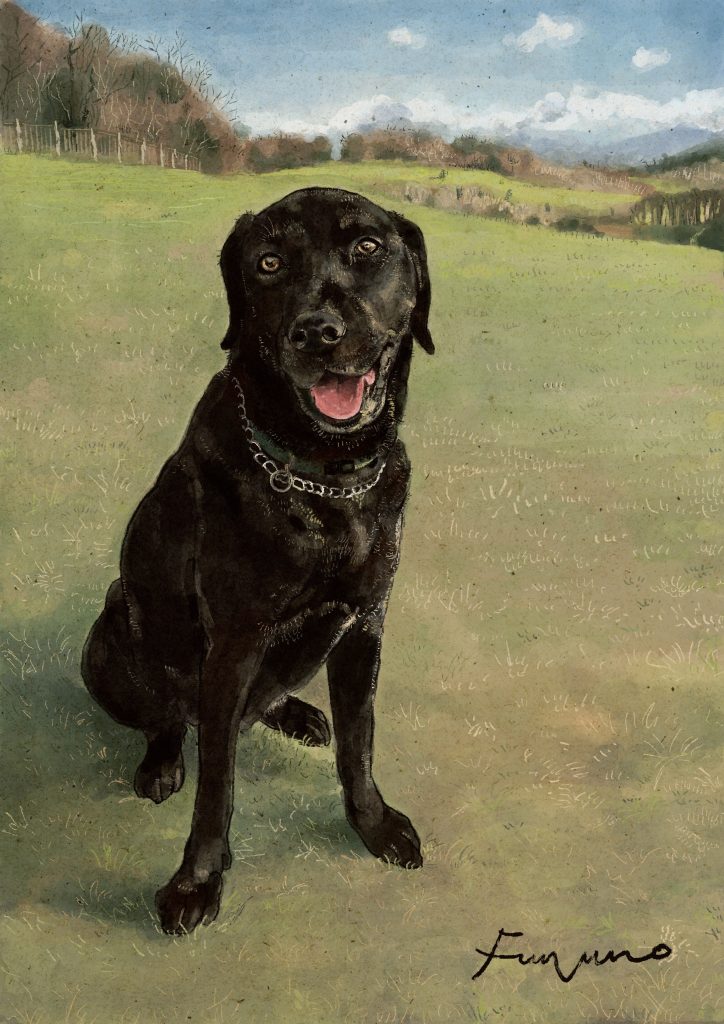 草原をバックに黒いラブラドールレトリバーが座っているデジタルイラスト。