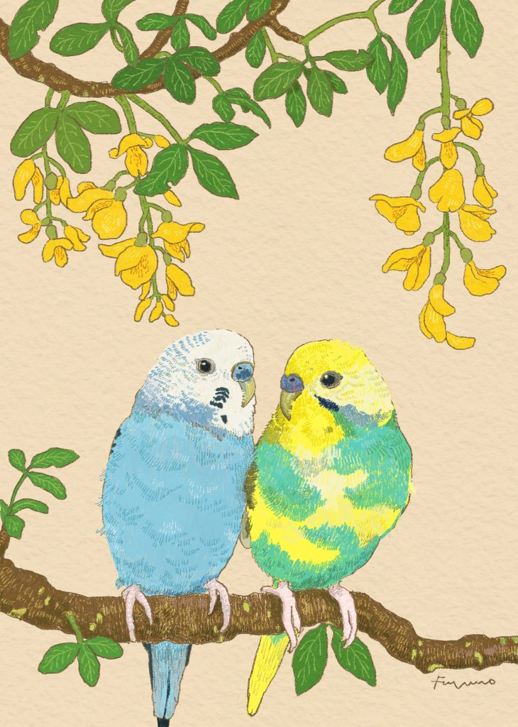 セキセイインコ2羽が並んで枝に止まっているデジタルイラスト。