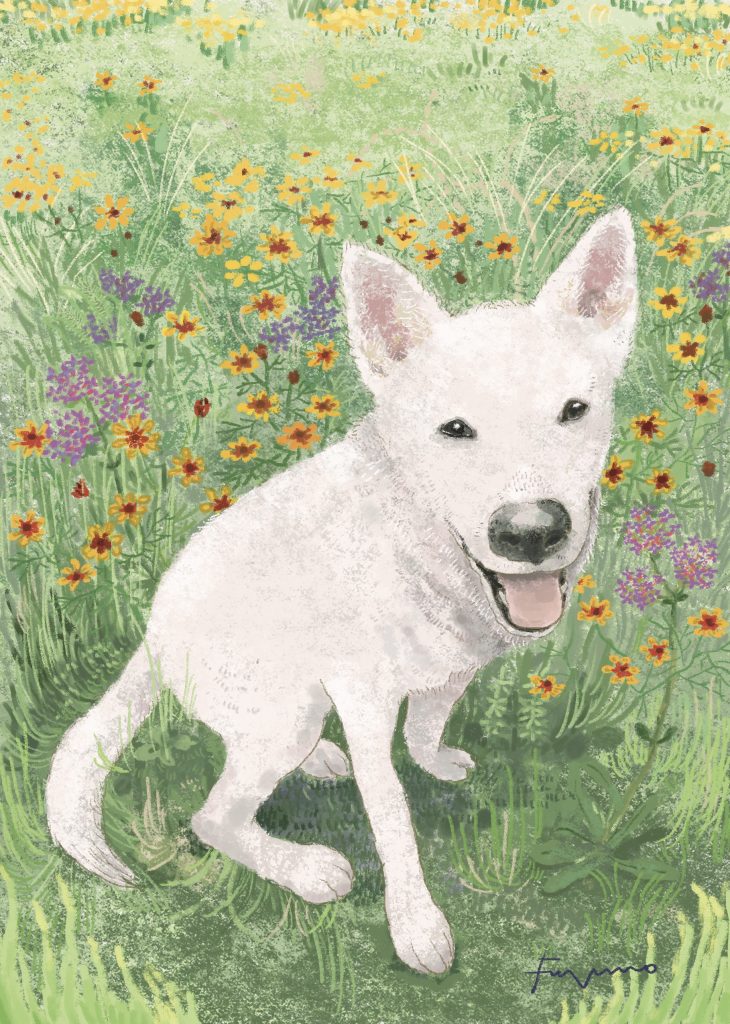 花畑の中に白い犬が座ってこちらを見ているデジタルイラスト。