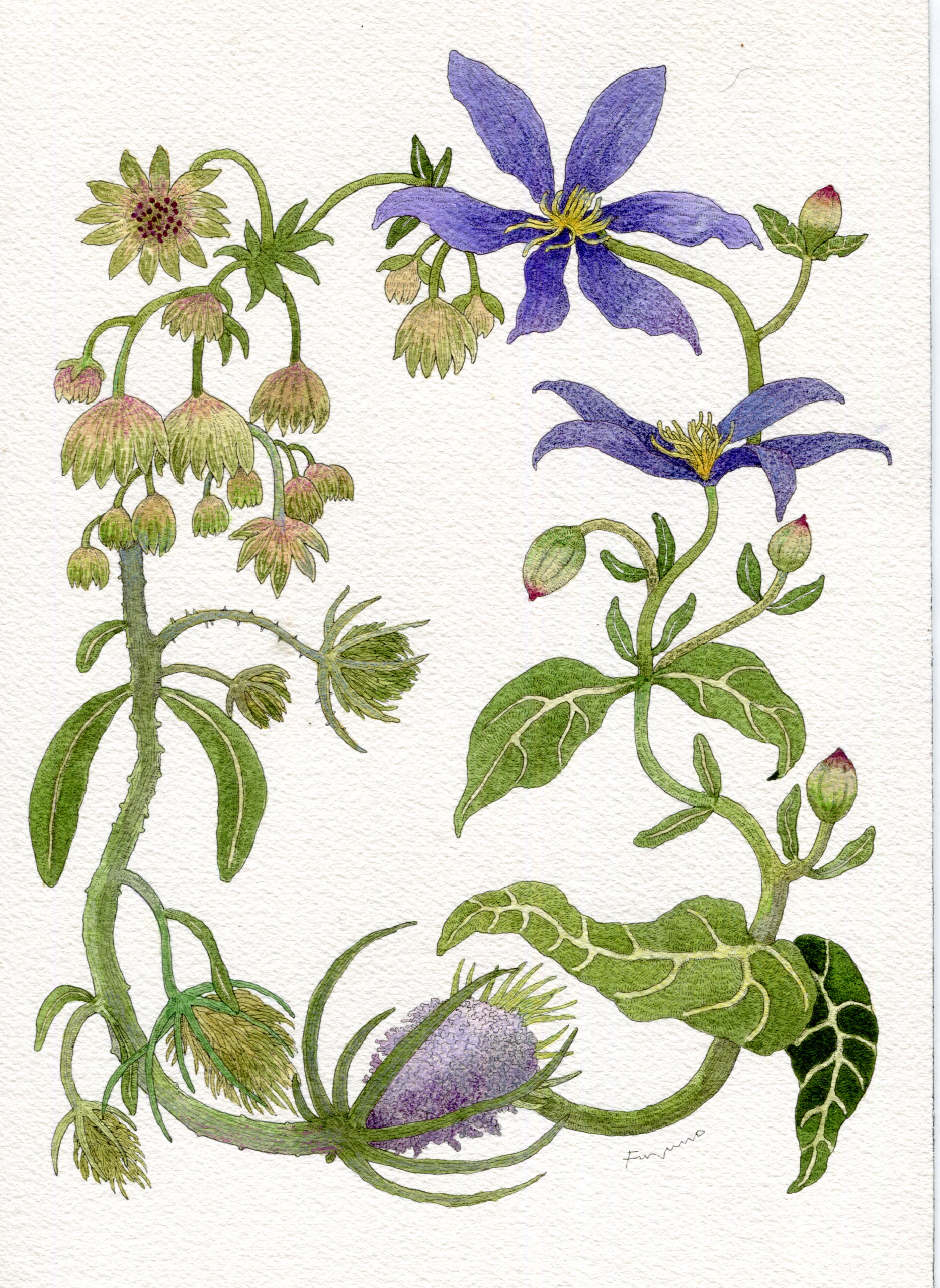 数種類の花を組み合わせてフレームのように描いてある水彩画。